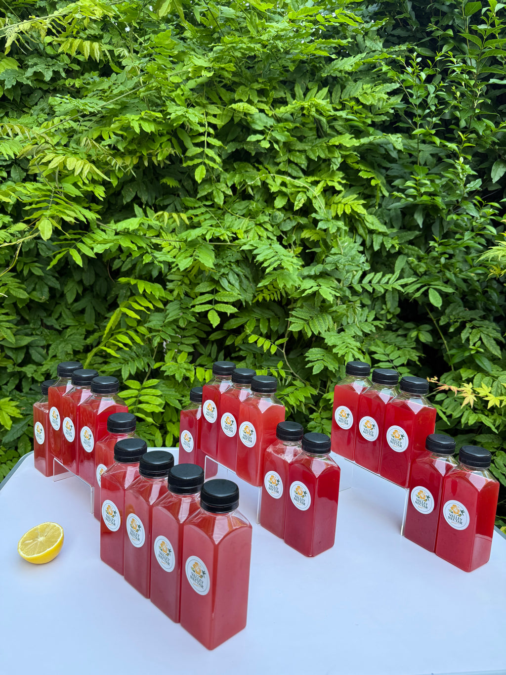 Celebration Pack – 20 Bottles