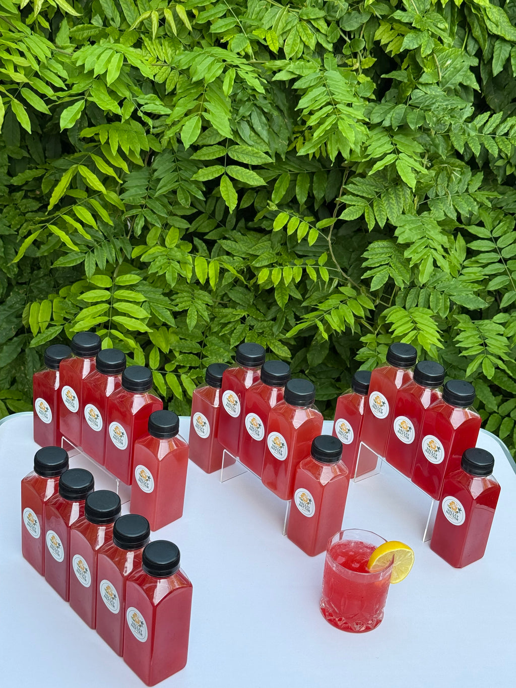 Celebration Pack – 20 Bottles