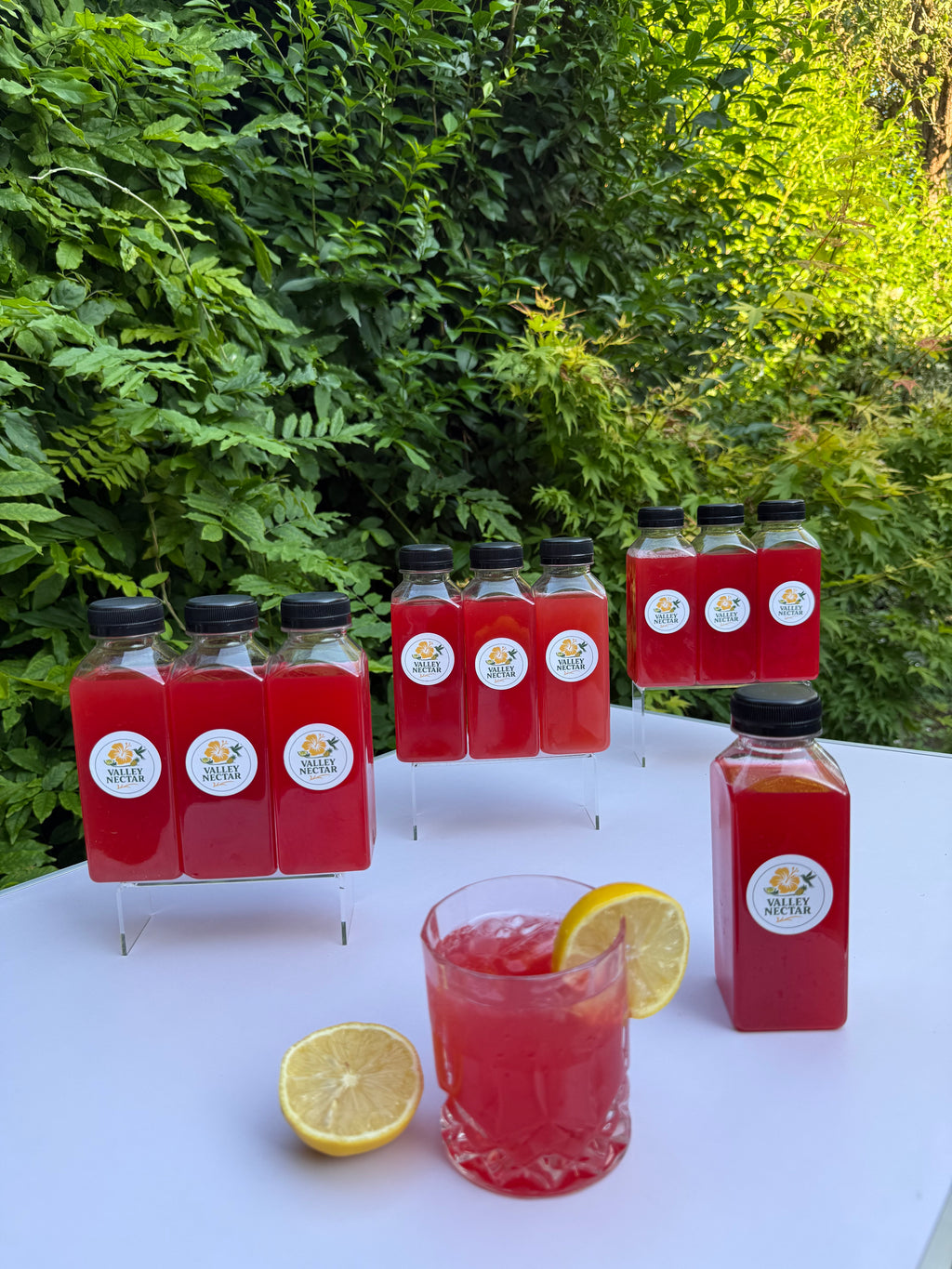 Party Starter Pack – 10 Bottles
