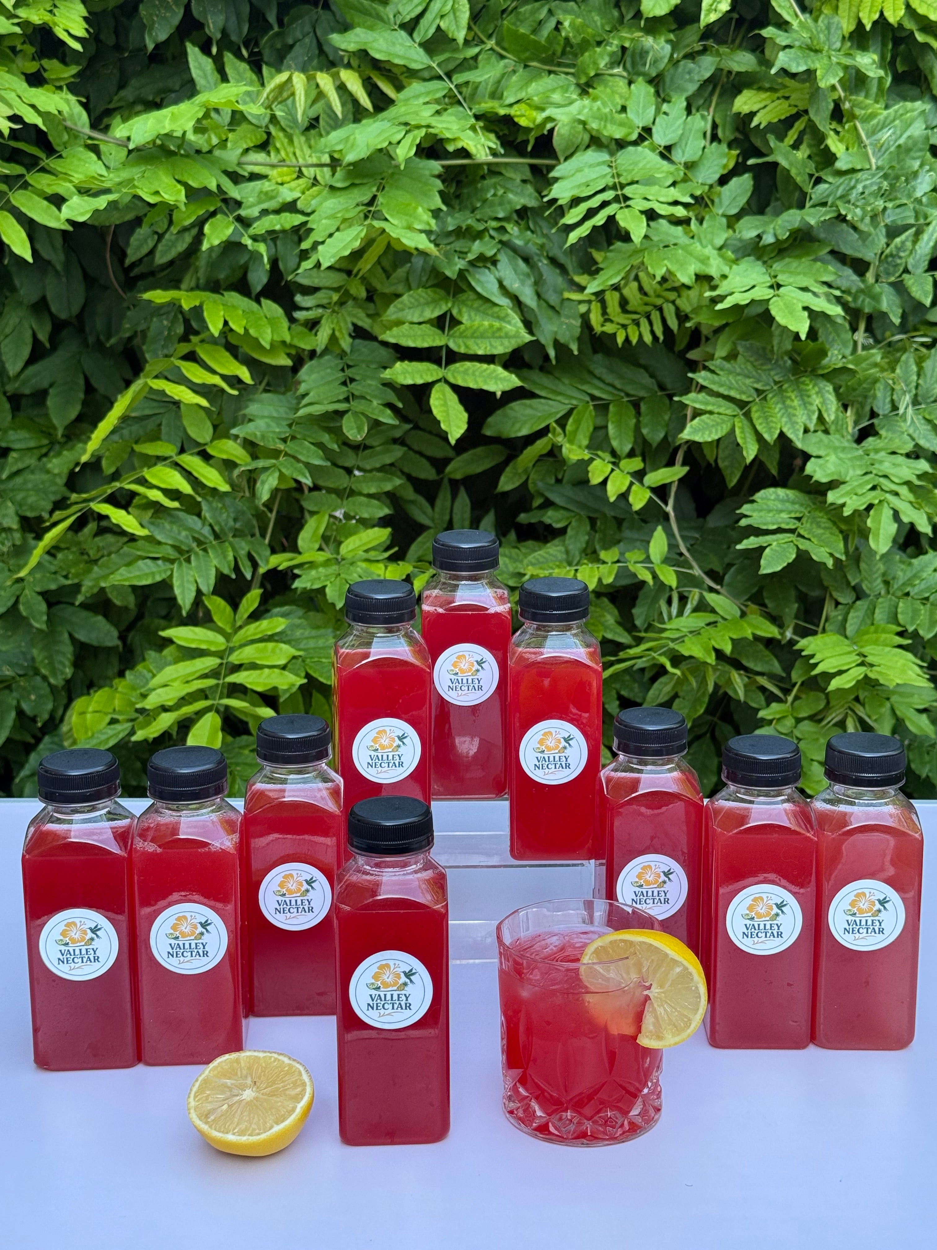 Party Starter Pack – 10 Bottles