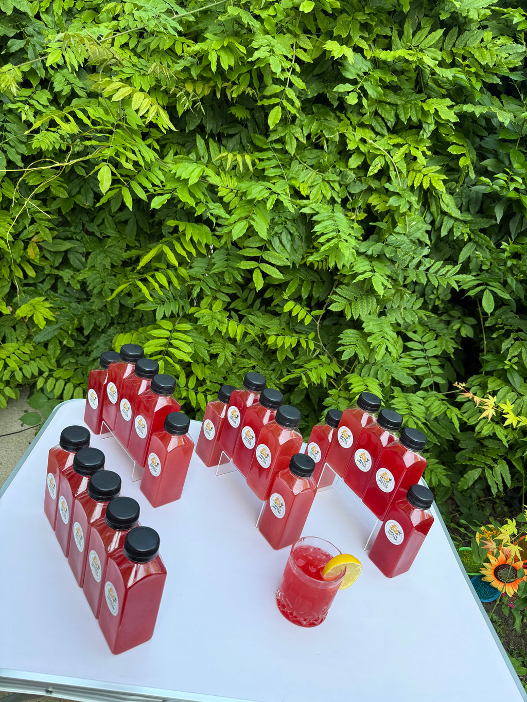 Celebration Pack – 20 Bottles